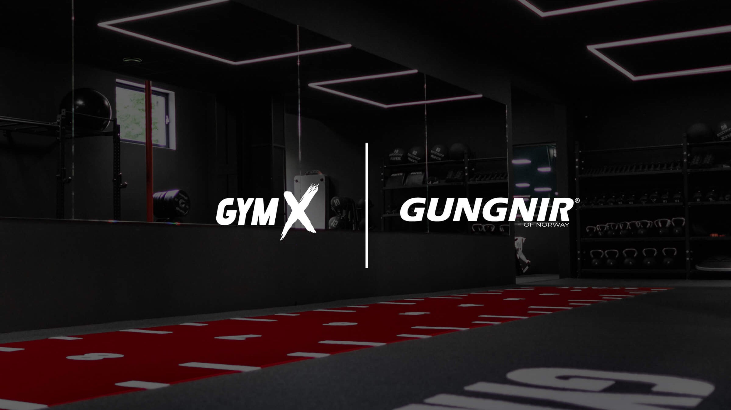 Members fell in love with Gungnir bars in just a few days at this Slovakian gym