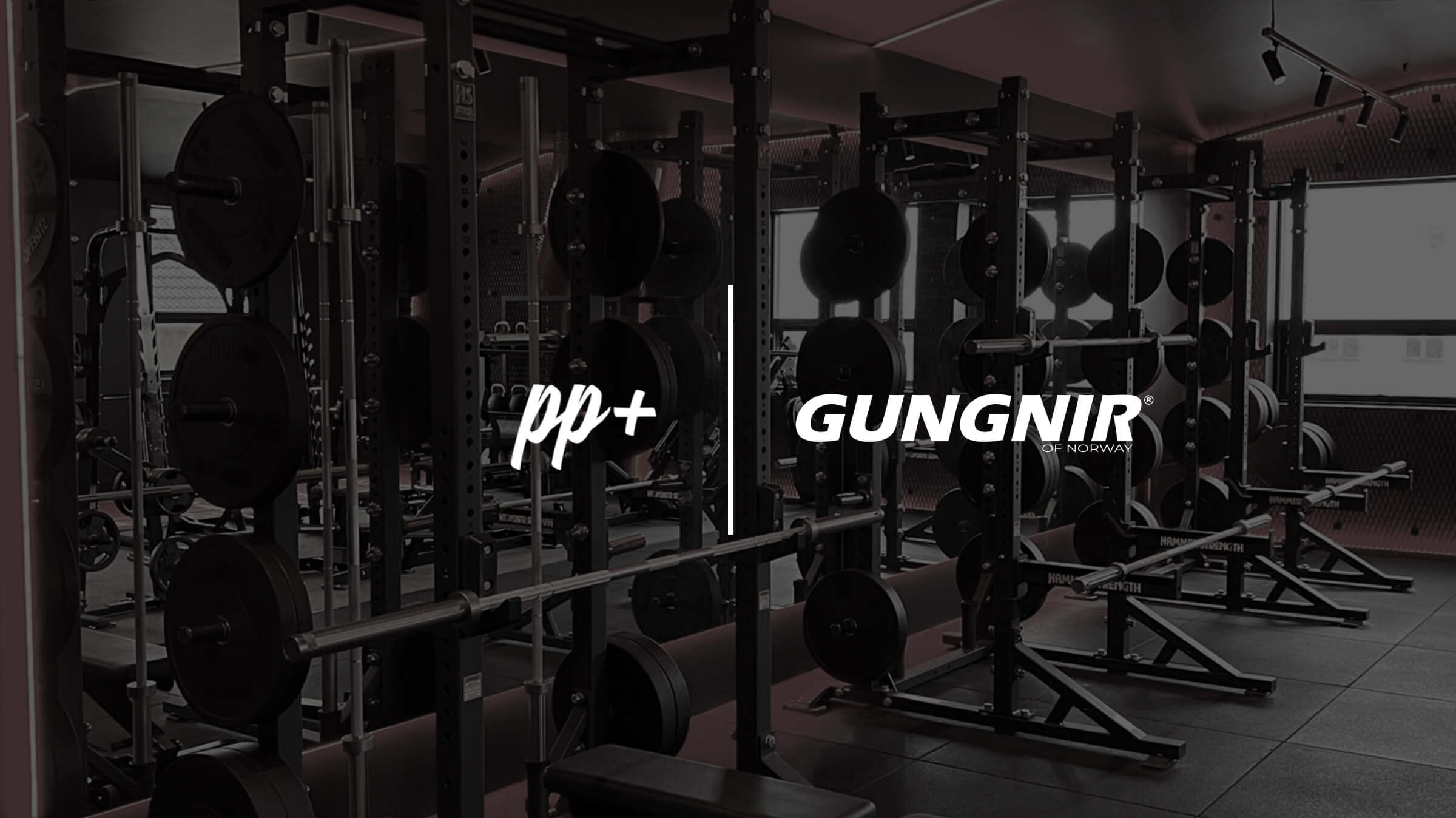 One of the World's First Collar-Free Gyms