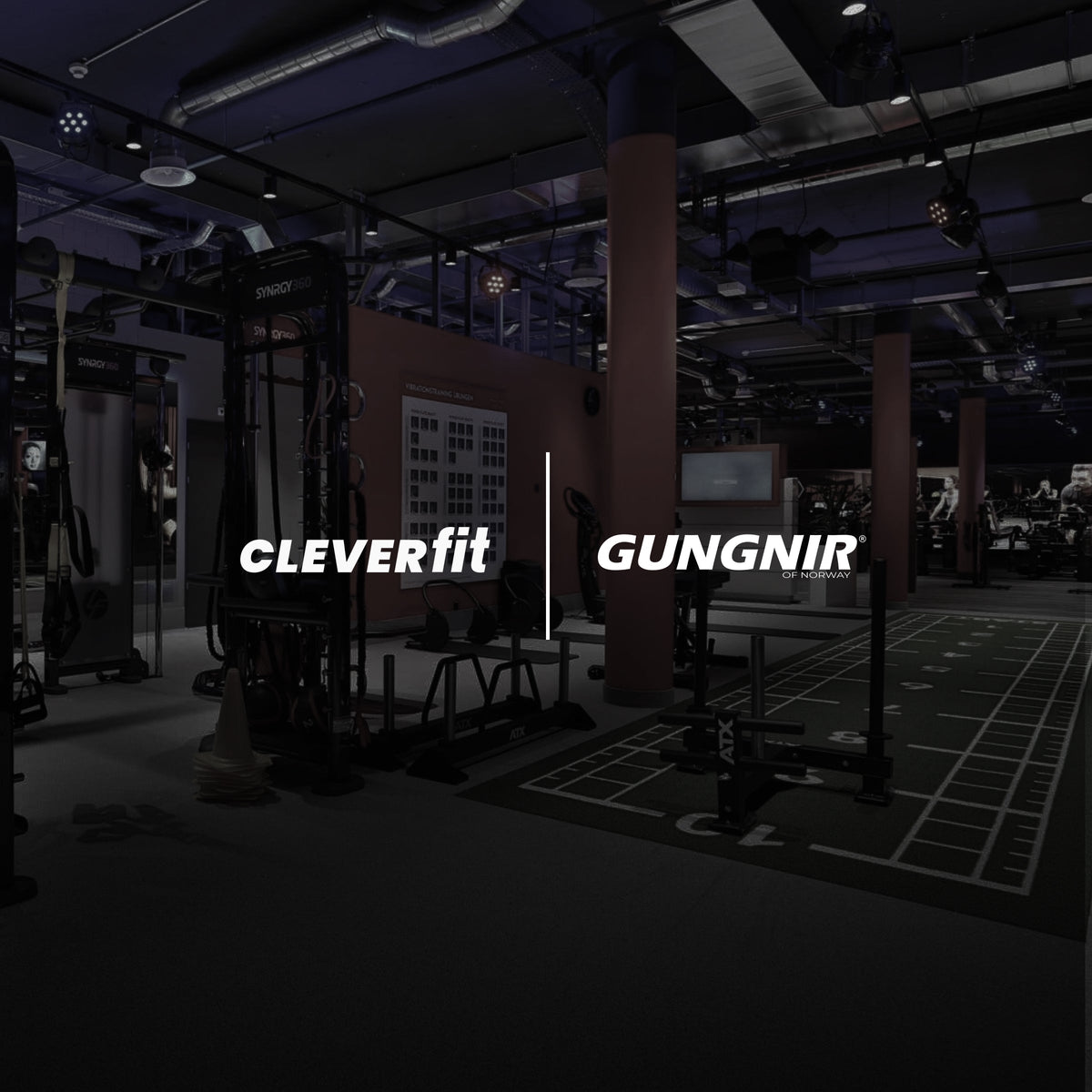 Clever fit in Germany and now Switzerland take in Gungnir bars