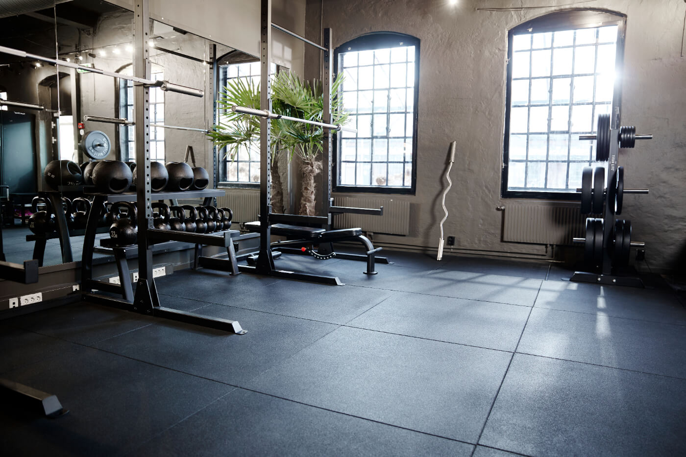 A collar-free gym - Case study