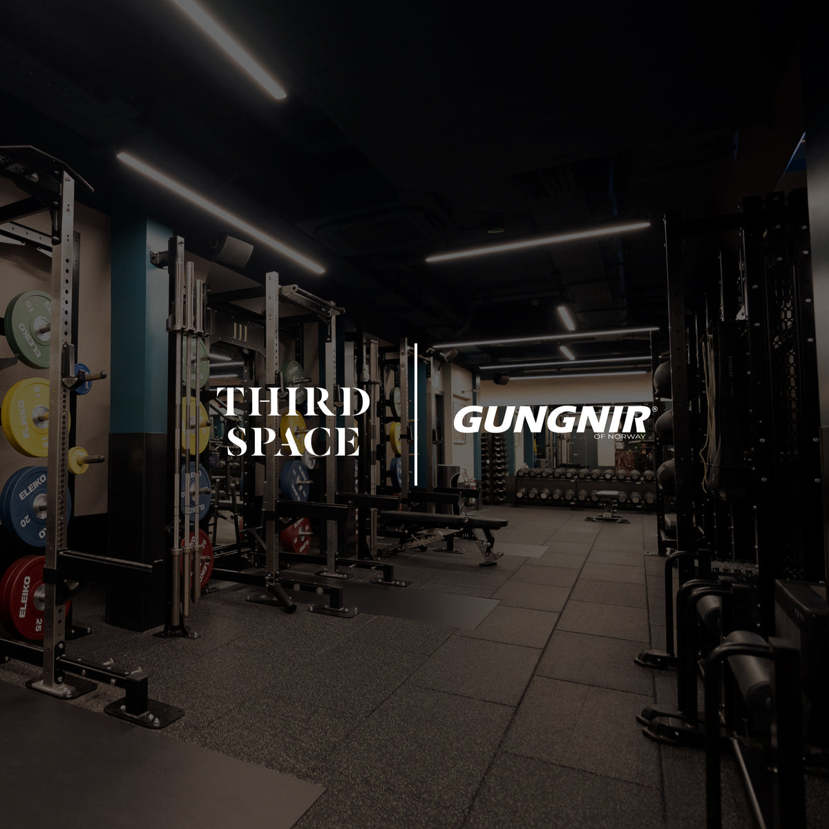 Third Space Chelsea is another stunning collar-free gym