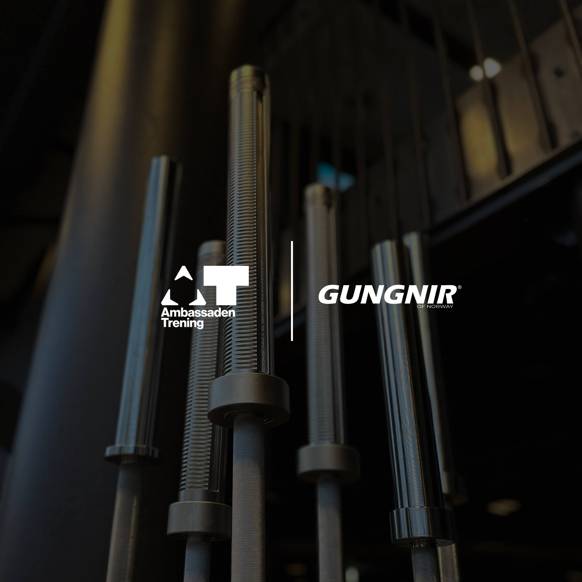 A gem has opened in the heart Oslo