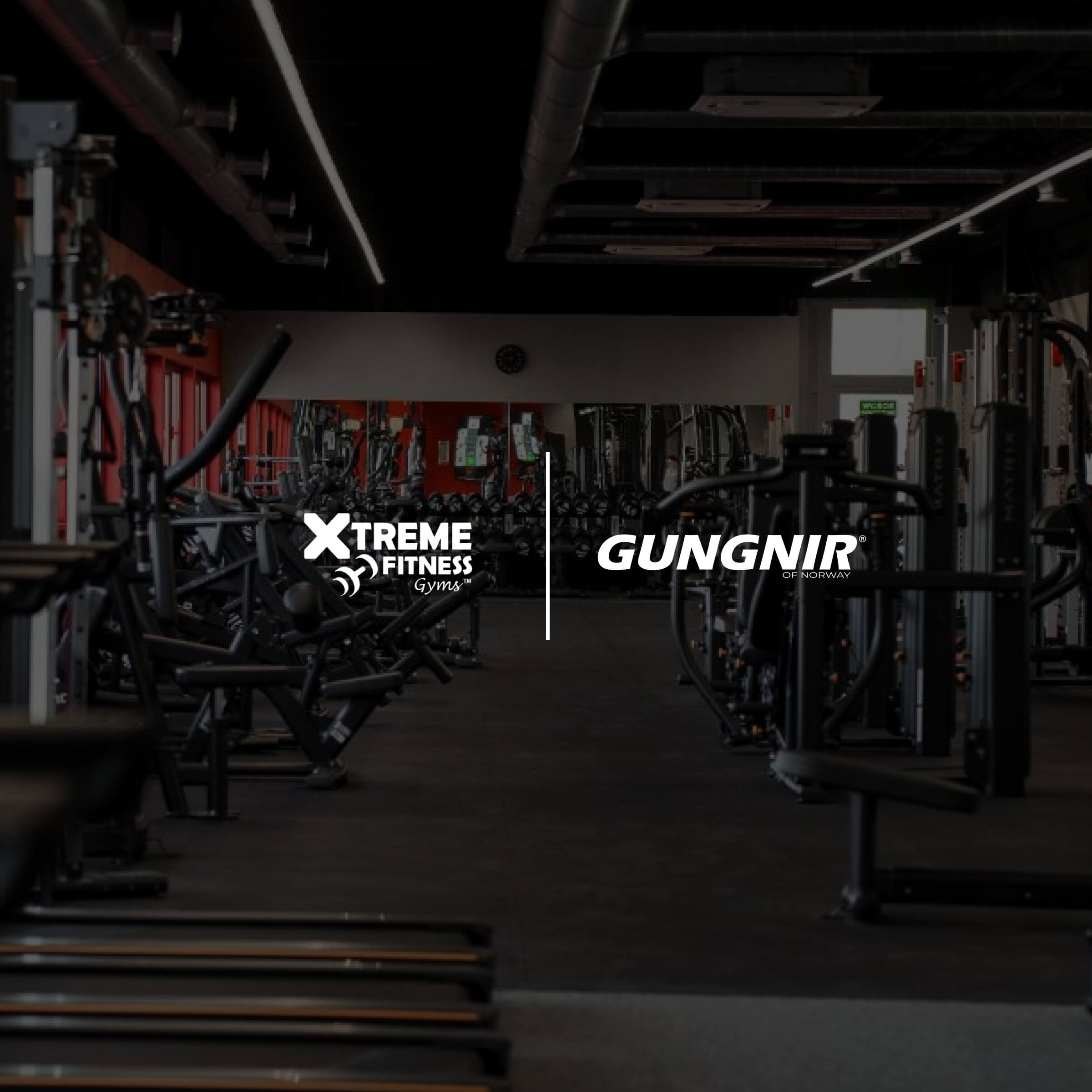 Xtreme Fitness Gyms - The aggressively growing Polish gym chain