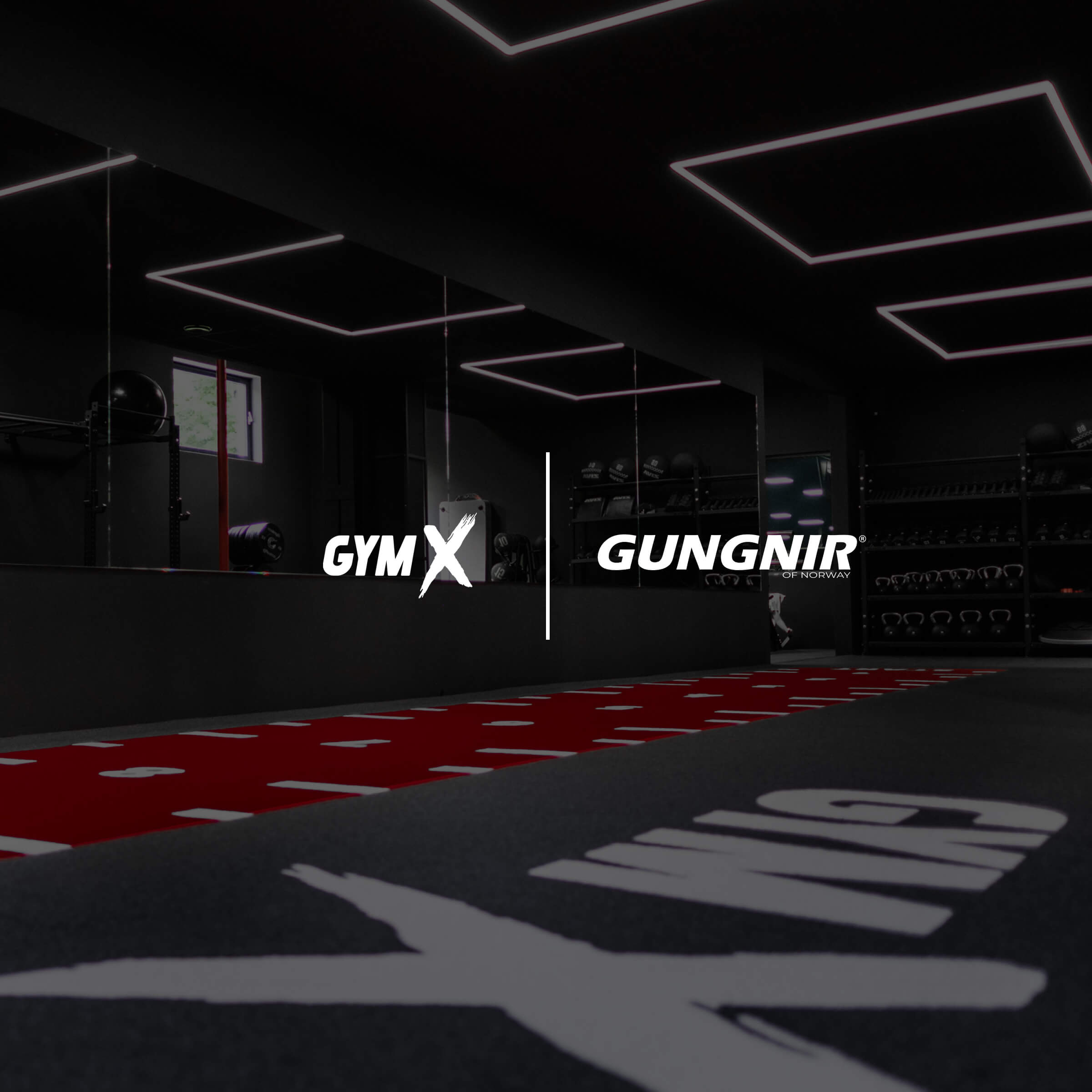 Members fell in love with Gungnir bars in just a few days at this Slovakian gym