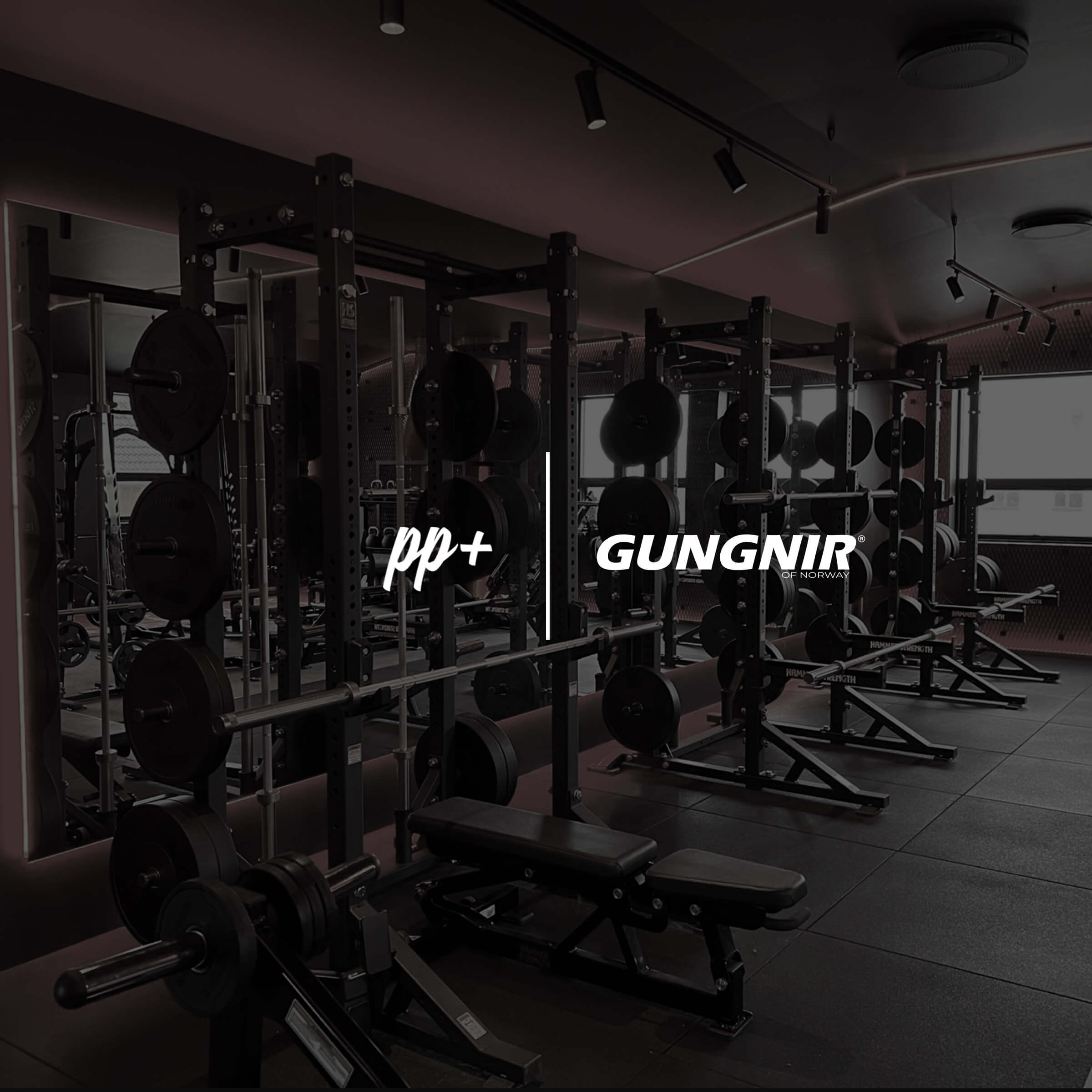 One of the World's First Collar-Free Gyms