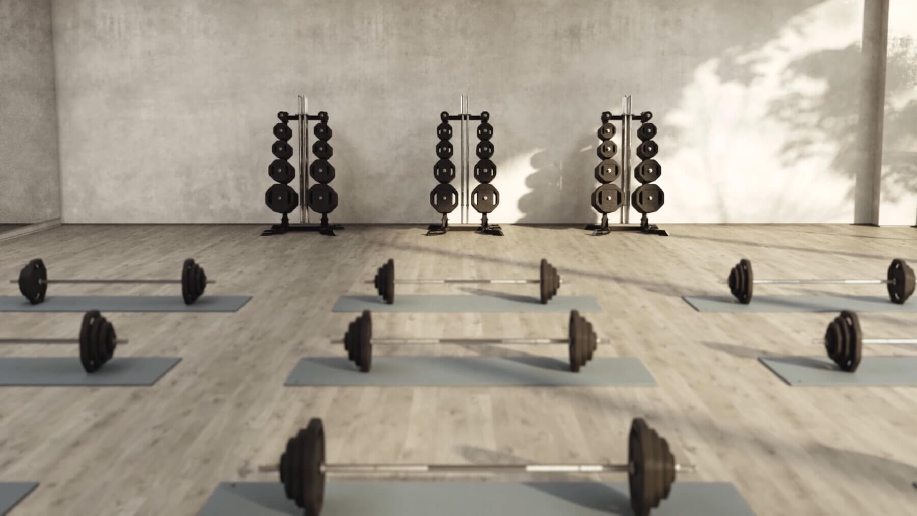 The Group by Gungnir of Norway: How to make free weight group training a seamless experience